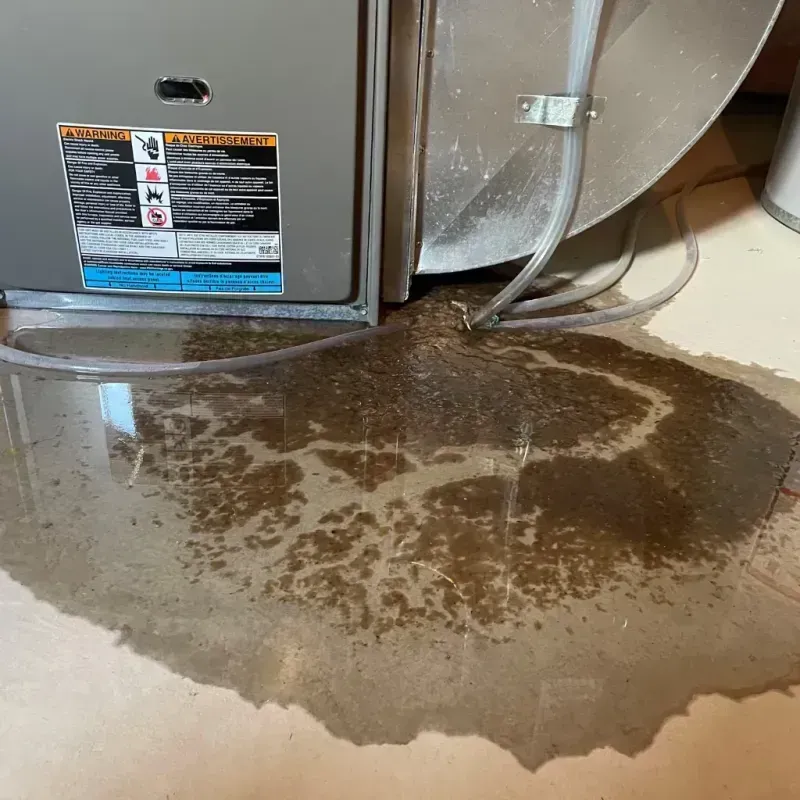 Appliance Leak Cleanup in Benton City, WA